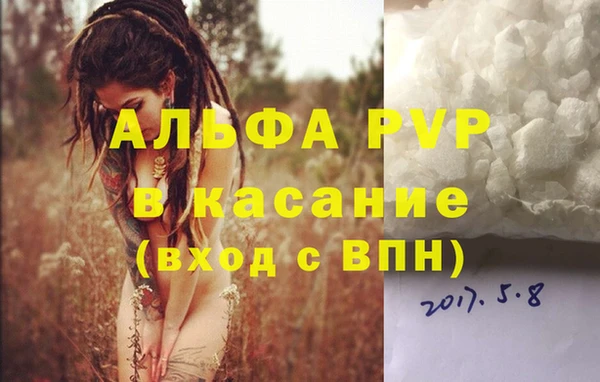 apvp Алзамай