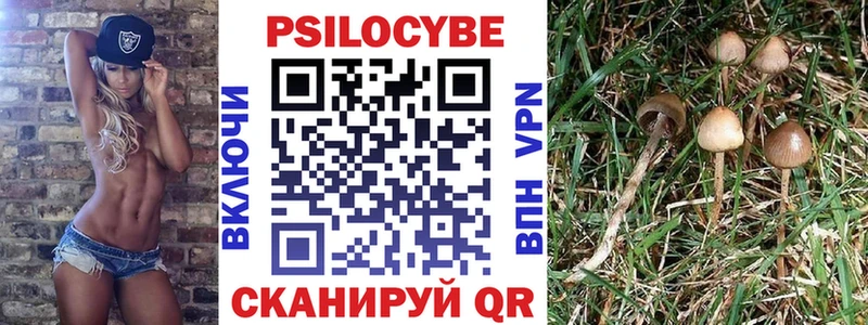 где найти   Осинники  ссылка на мегу зеркало  Псилоцибиновые грибы мухоморы 